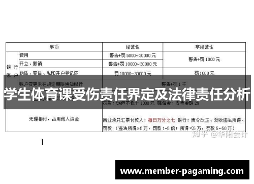 学生体育课受伤责任界定及法律责任分析
