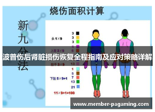 波普伤后肾脏损伤恢复全程指南及应对策略详解