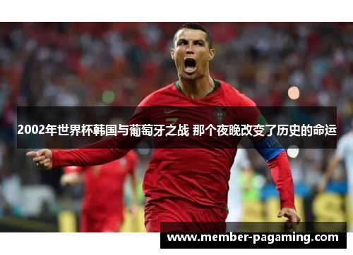 2002年世界杯韩国与葡萄牙之战 那个夜晚改变了历史的命运