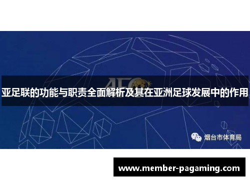 亚足联的功能与职责全面解析及其在亚洲足球发展中的作用