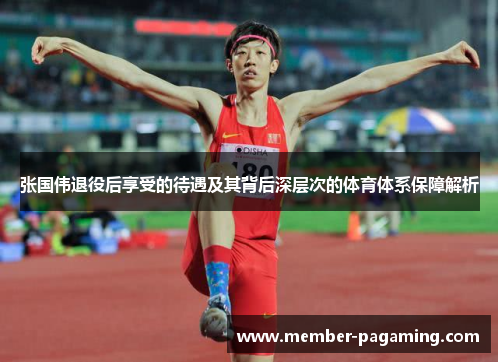 张国伟退役后享受的待遇及其背后深层次的体育体系保障解析