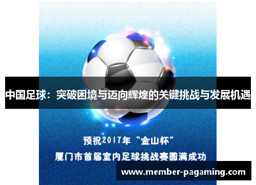 中国足球：突破困境与迈向辉煌的关键挑战与发展机遇