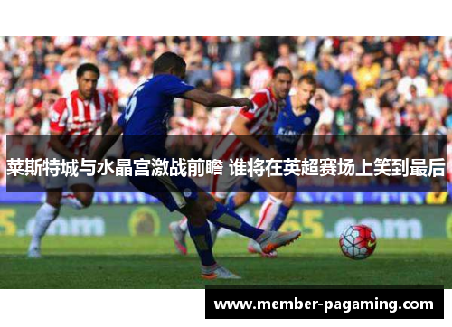 莱斯特城与水晶宫激战前瞻 谁将在英超赛场上笑到最后