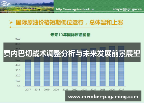 费内巴切战术调整分析与未来发展前景展望