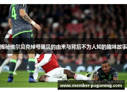 揭秘维尔贝克绰号黑贝的由来与背后不为人知的趣味故事