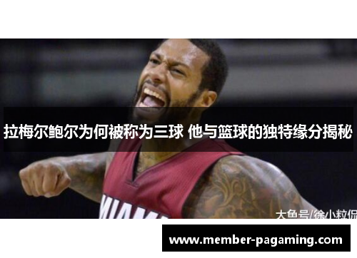 拉梅尔鲍尔为何被称为三球 他与篮球的独特缘分揭秘 拉梅尔鲍尔为何被称为三球 他与篮球的独特缘分揭秘