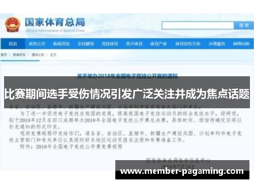 比赛期间选手受伤情况引发广泛关注并成为焦点话题