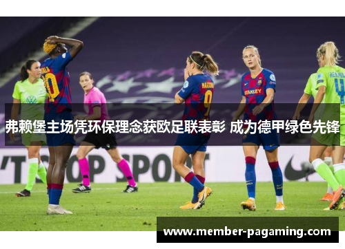 弗赖堡主场凭环保理念获欧足联表彰 成为德甲绿色先锋 弗赖堡主场凭环保理念获欧足联表彰 成为德甲绿色先锋