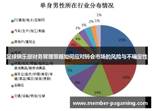 足球俱乐部财务管理策略如何应对转会市场的风险与不确定性